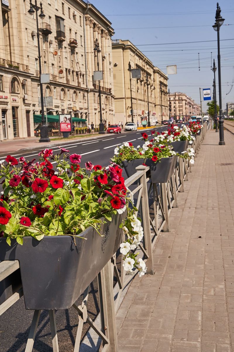 Благоустройство Санкт-Петербурга 2023 Благоустройство Санкт-Петербурга 2023 - проекты Berkano - фото 9