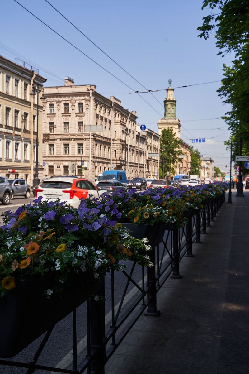 Благоустройство Санкт-Петербурга 2023 Благоустройство Санкт-Петербурга 2023 - проекты Berkano - фото 7